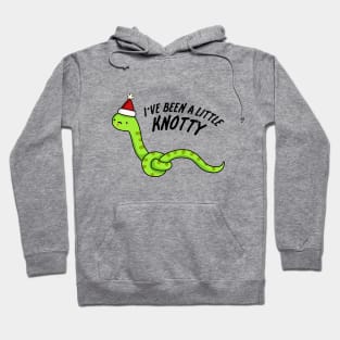 I've Been A Little Knotty Cute Naughty Snake Pun Hoodie